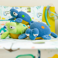 Dot the Turtle