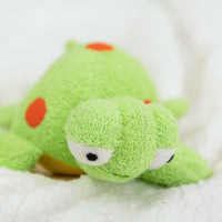 Dot the Turtle