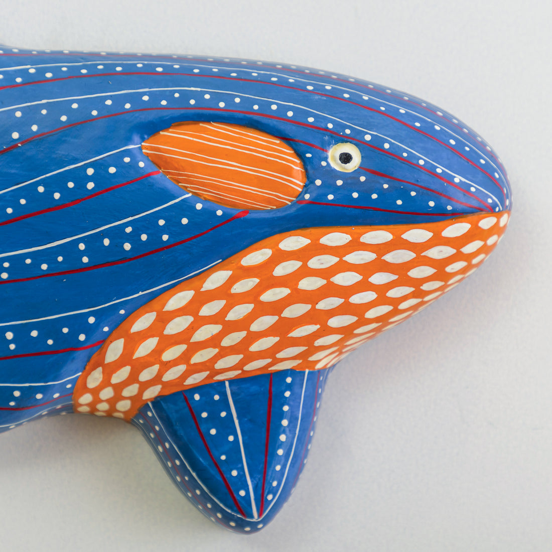 Silly Shark Wall Decor