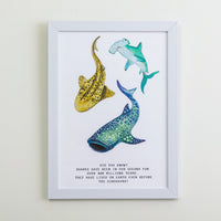 Shark Safari Mysteries of the Abyss Wall Art
