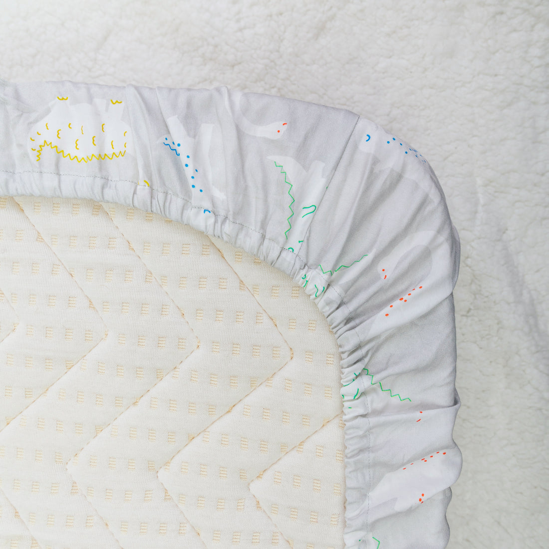 Did You Know Dino? Crib Sheet