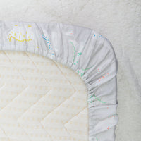 Did You Know Dino? Crib Sheet