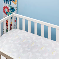 Did You Know Dino? Crib Sheet
