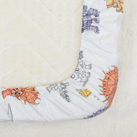 Compass to the North Pole Sheet and Shams Set