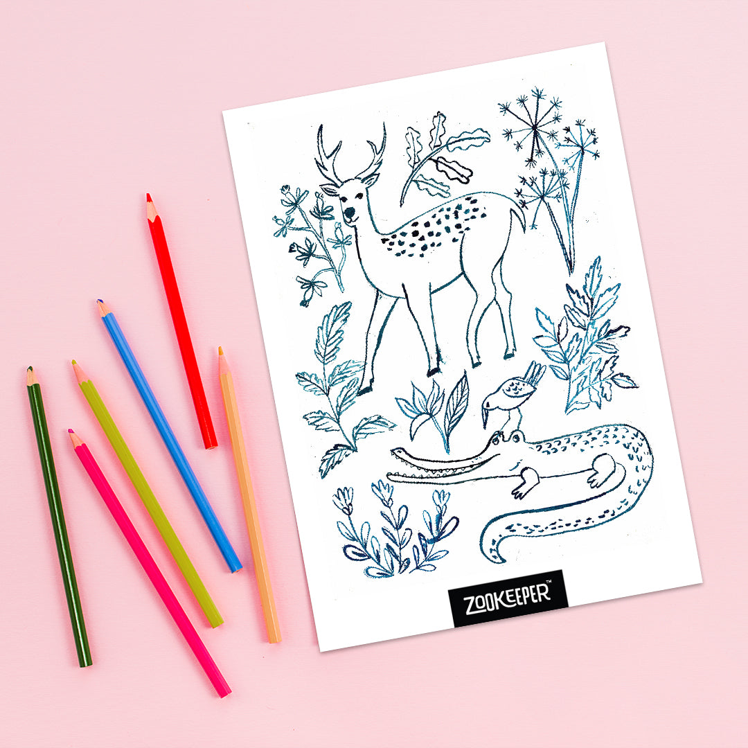 My Wild Zoo Friends – Summer Colouring Sheet