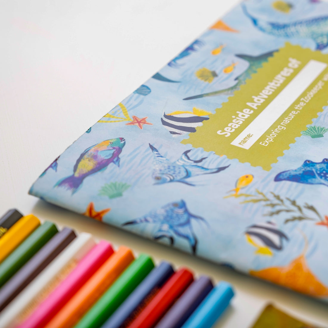 My Wild Wild Life Activity Box