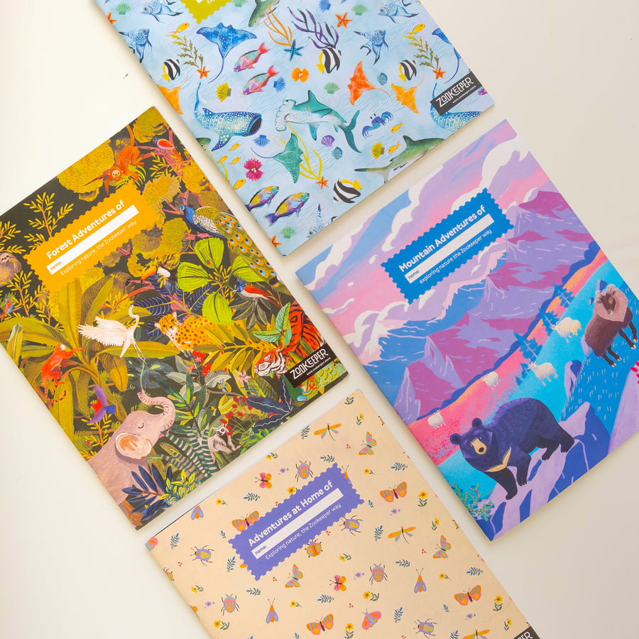 My Wild Wild Life Activity Box