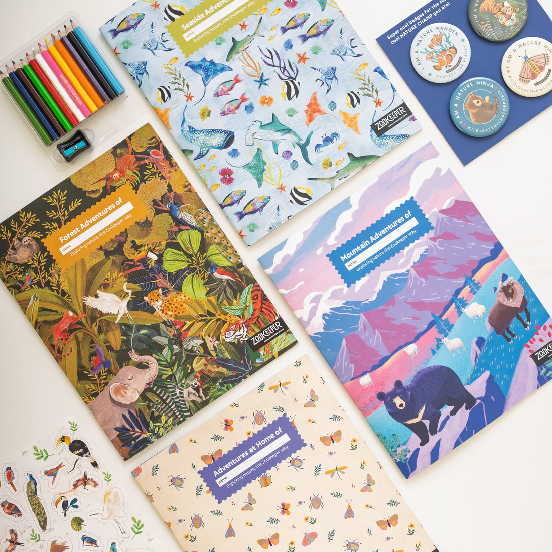 My Wild Wild Life Activity Box