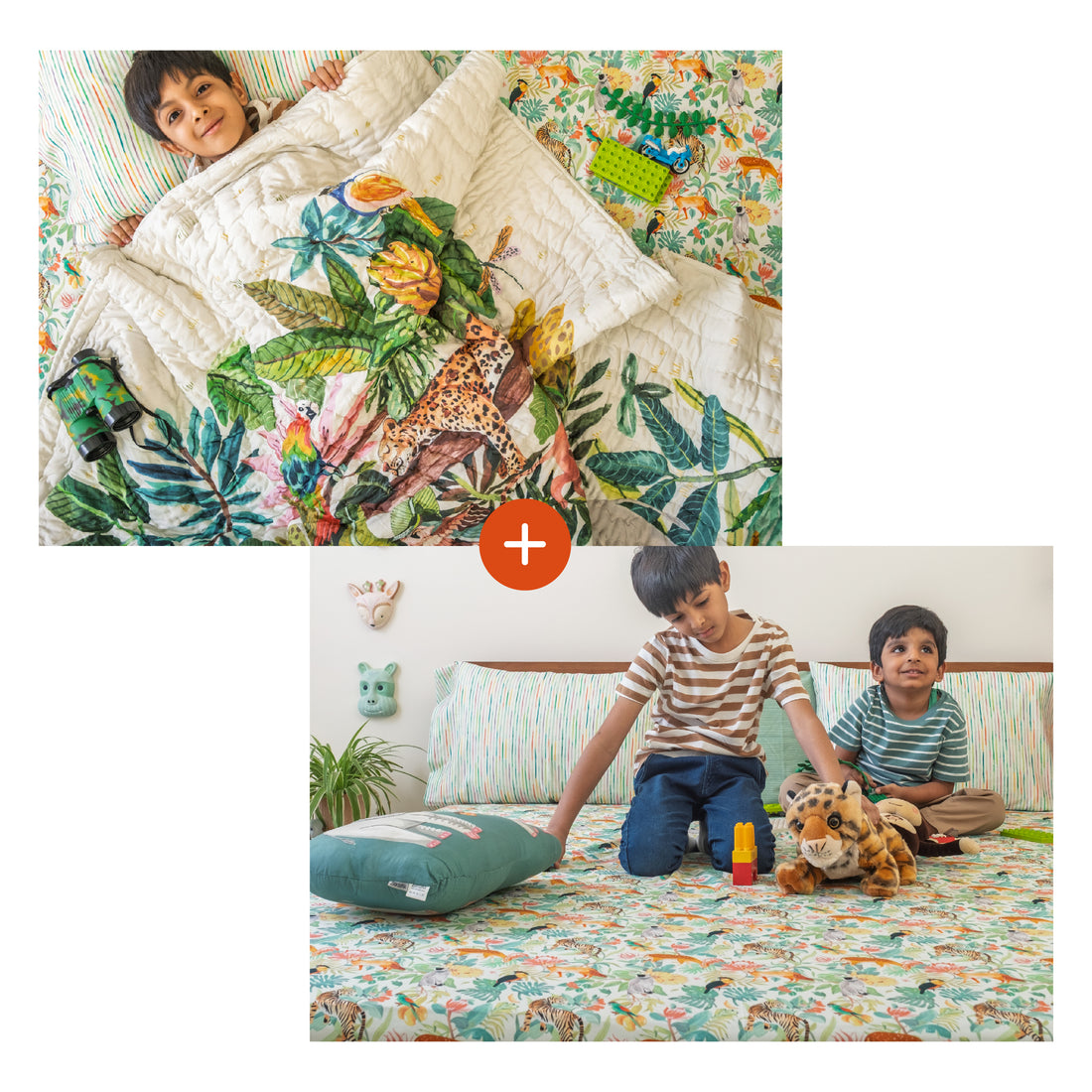 Into The Wild Rakhi Bundle