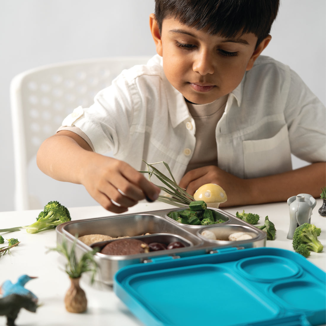 A Canopy in Kanha Better Bento Quad