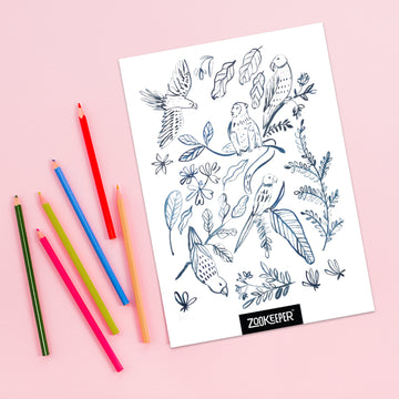 Monkey & Friends Colouring Sheet