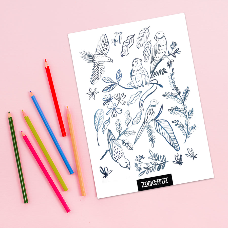 Monkey & Friends Colouring Sheet