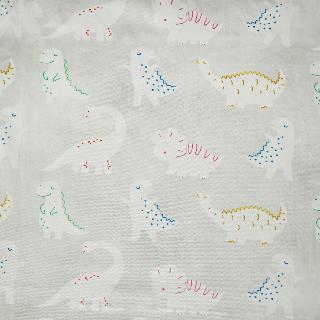 Did You Know Dino? Bedsheet and Sham Set